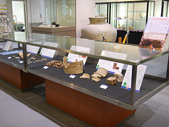 坊の塚古墳出土品を展示中