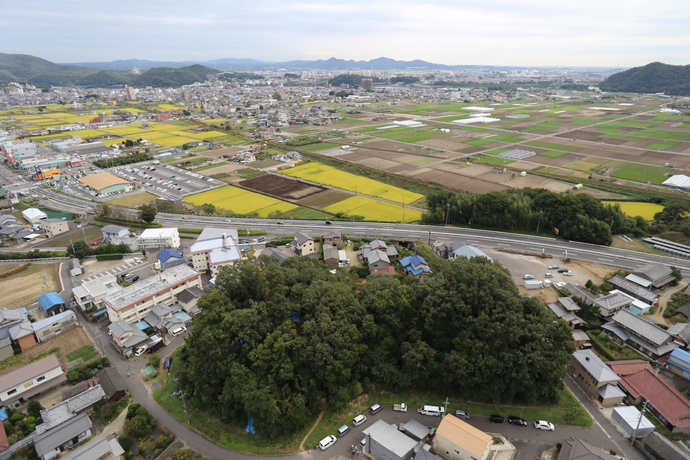 坊の塚古墳全景