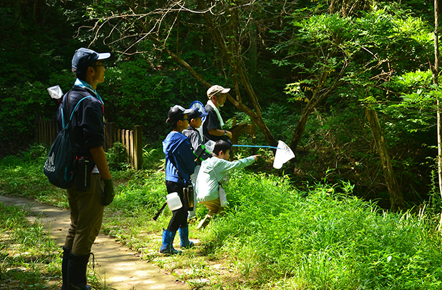 自然体験塾「盛夏の昆虫おもしろ楽習」の写真