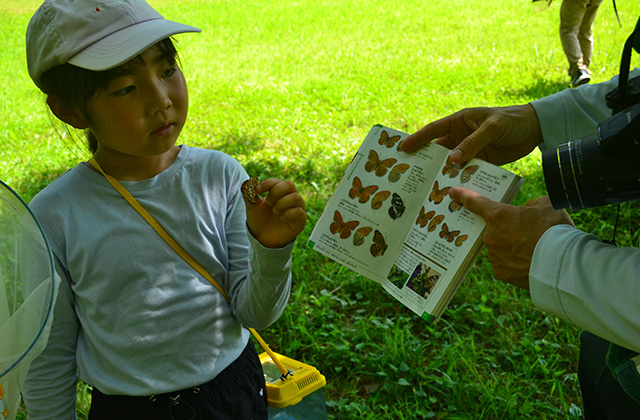 自然体験塾「盛夏の昆虫おもしろ楽習」の写真
