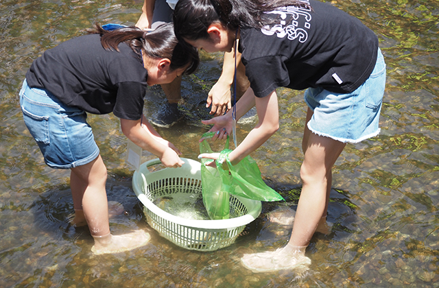 かわしま燦々夏まつりの写真