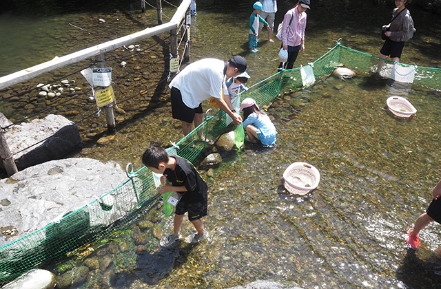 かわしま燦々夏まつりの写真
