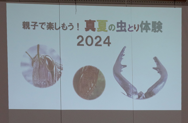親子で楽しもう！真夏の虫取り体験の写真