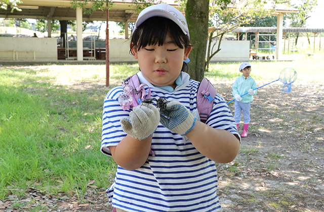 親子で楽しもう！真夏の虫取り体験の写真