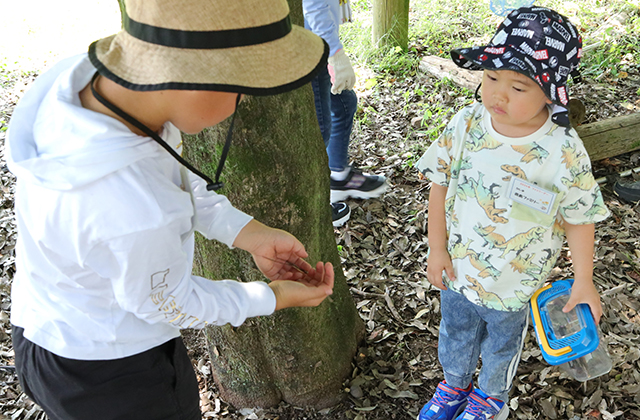親子で楽しもう！真夏の虫取り体験の写真