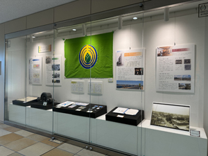 展示の様子