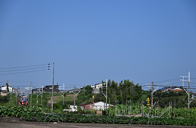 各務原台地の写真