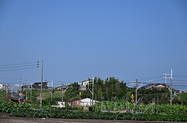 各務原台地の写真