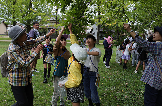秋の公園ツアーの写真