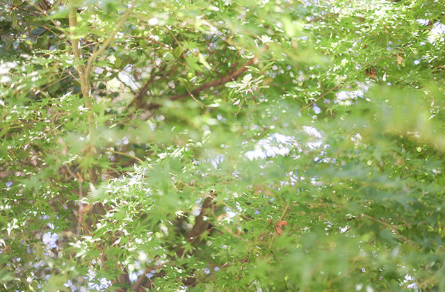 中山道鵜沼宿まつりの写真