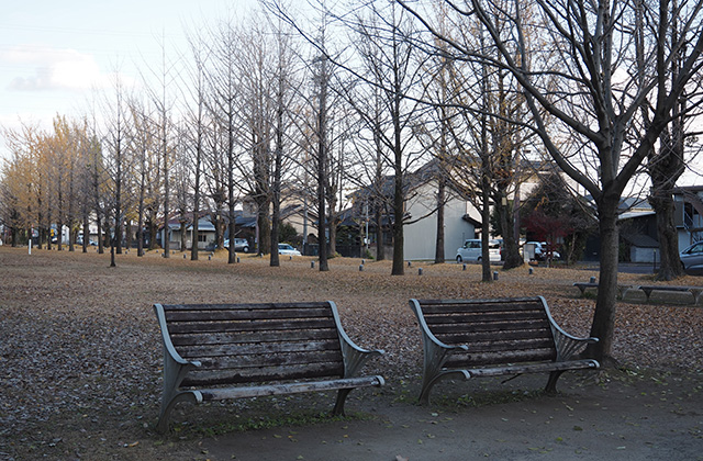 学びの森イルミネーションの写真