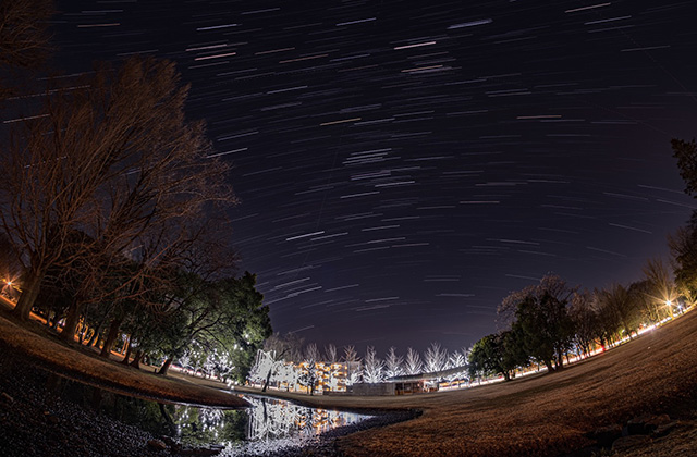 学びの森 星空の写真