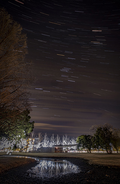 学びの森 星空の写真