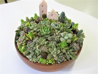 多肉植物の寄せ植えの作例写真です。