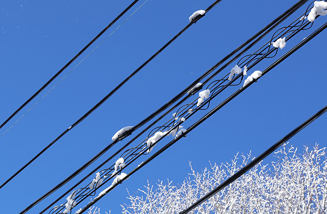 鵜沼の雪景色の写真