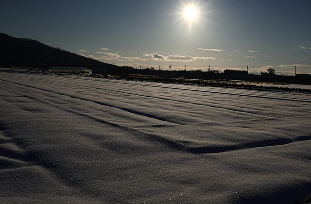 鵜沼の雪景色の写真
