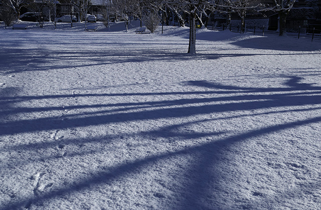 鵜沼の雪景色の写真