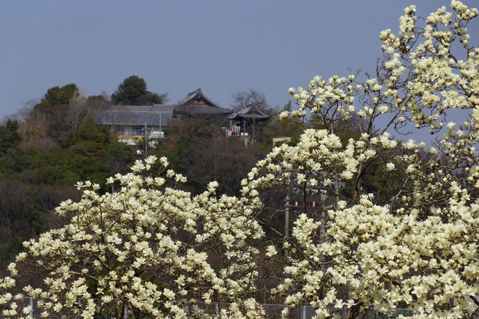 各務原市の風景の写真