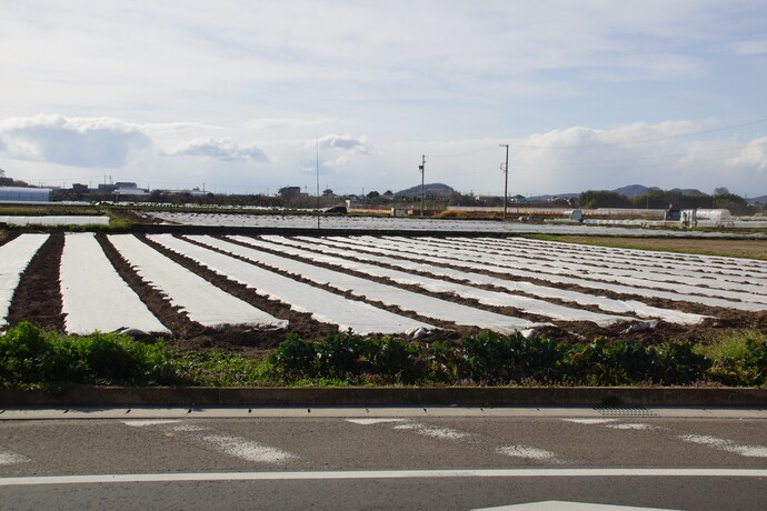 伊木山北麓および伊木の森の写真