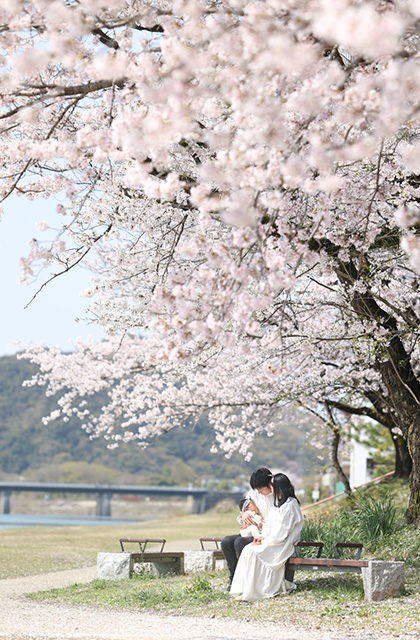 各務原市内の桜の写真