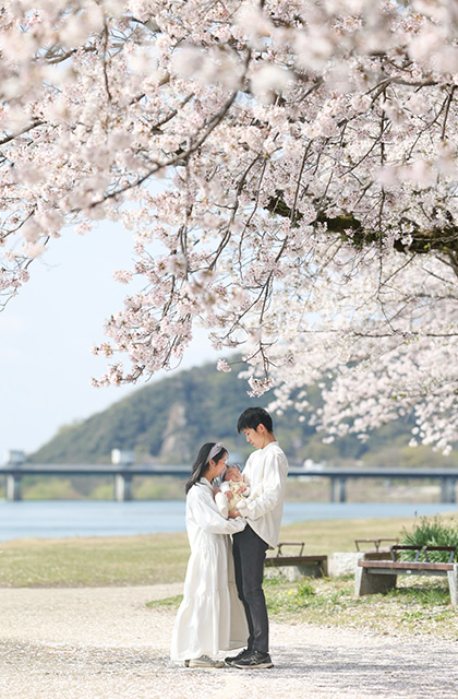 各務原市内の桜の写真