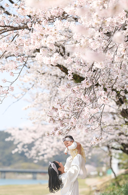 各務原市内の桜の写真