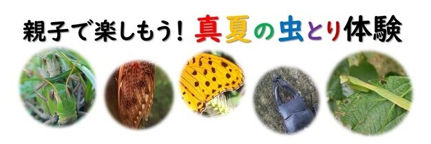 ファミリーデー