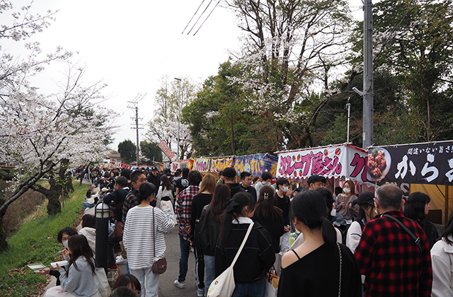 第49回桜まつりの写真