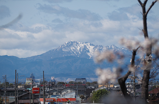 三井山周辺の桜の写真