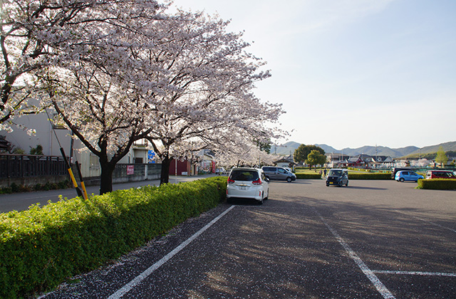 苧ヶ瀬池の写真