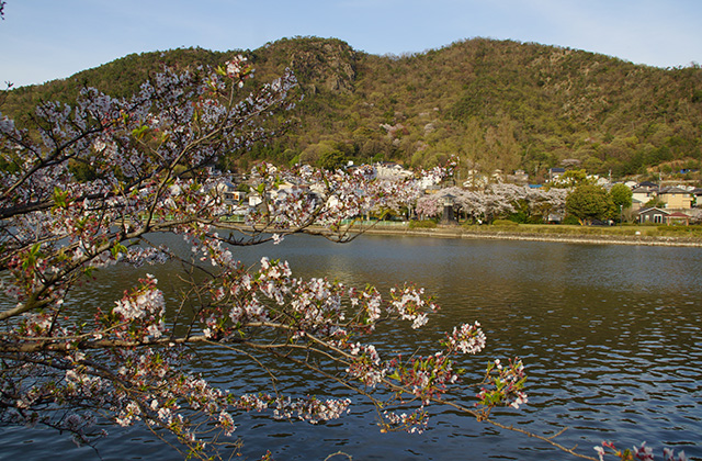 苧ヶ瀬池の写真