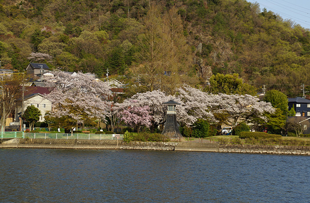 苧ヶ瀬池の写真