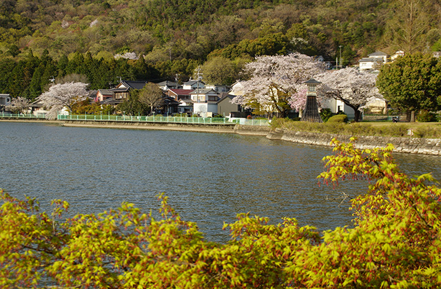 苧ヶ瀬池の写真