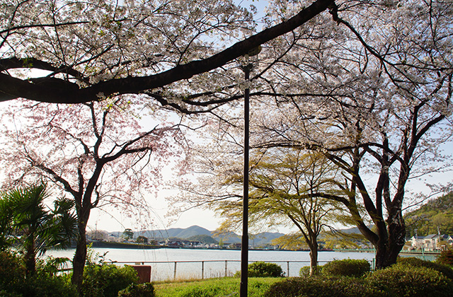 苧ヶ瀬池の写真