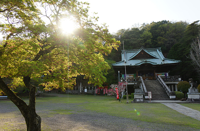 成田山貞照寺の風景の写真