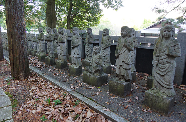 成田山貞照寺の風景の写真