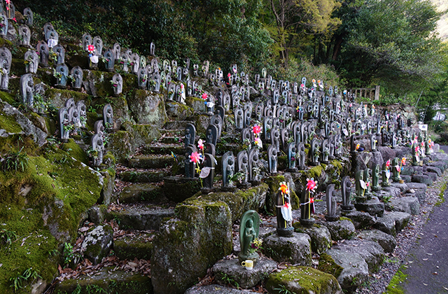 成田山貞照寺の風景の写真