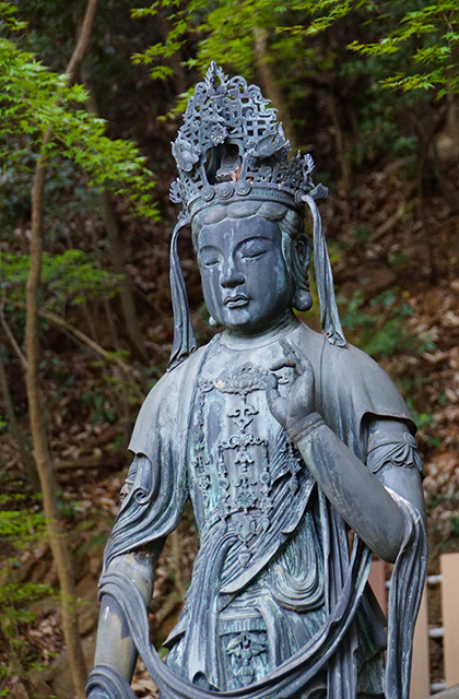 成田山貞照寺の風景の写真