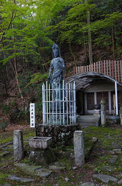 成田山貞照寺の風景の写真
