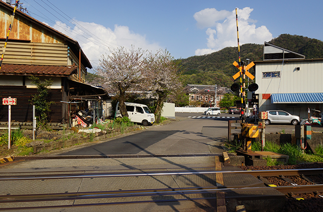 成田山貞照寺の風景の写真