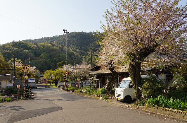 成田山貞照寺の風景の写真