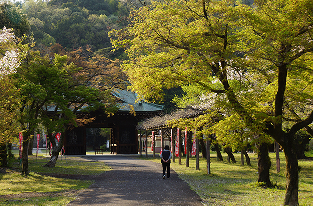 成田山貞照寺の風景の写真