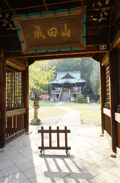 成田山貞照寺の風景の写真