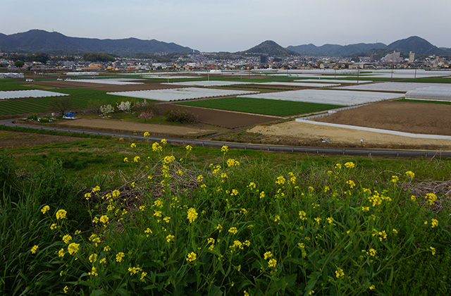 鵜沼地区の風景2の写真