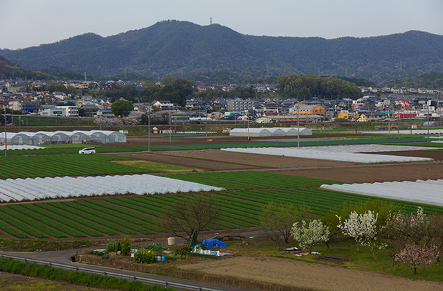 鵜沼地区の風景2の写真