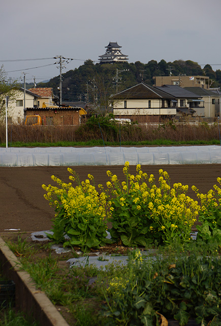 鵜沼地区の風景2の写真