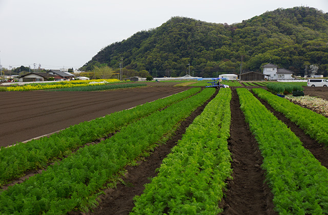 鵜沼地区の風景2の写真