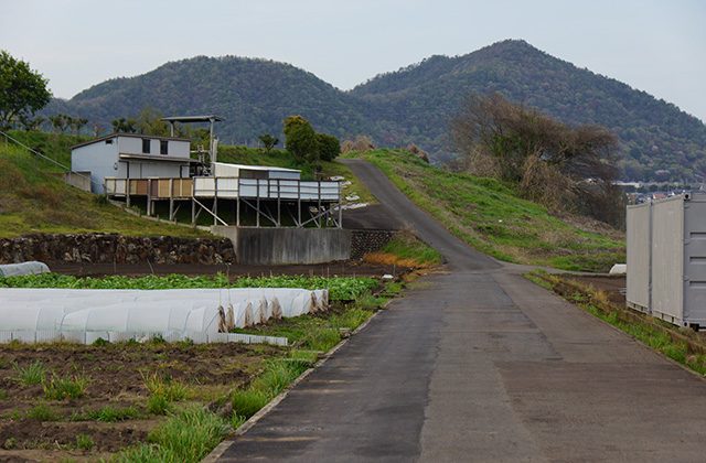 鵜沼地区の風景2の写真