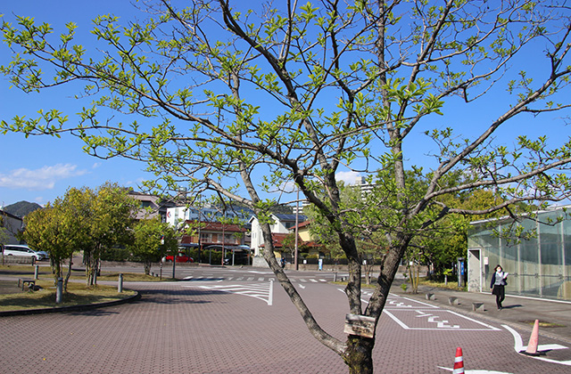 各務原市の風景の写真