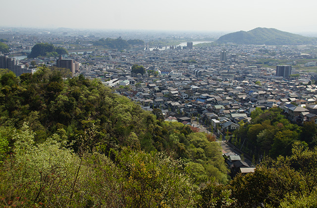 うぬまの森の風景の写真